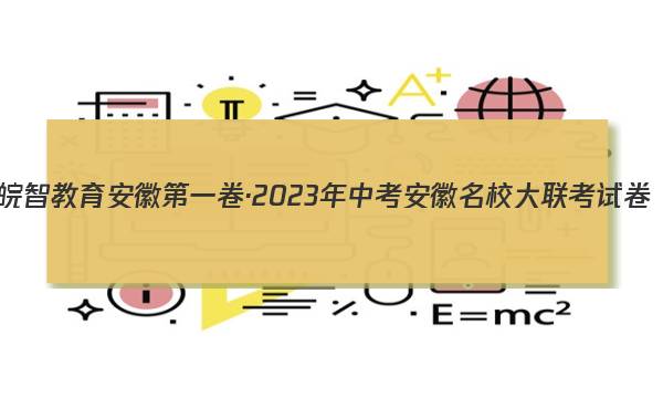 皖智教育 安徽第一卷·2023年中考安徽名校大联考试卷(二)2历史试题答案图片