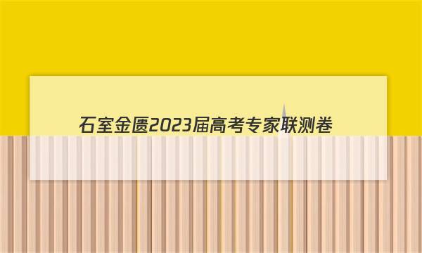 石室金匮 2023届高考专家联测卷(六)6文科数学答案